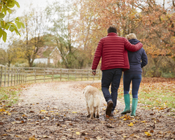 View from behind of a couple and their dog walking down a country road amid fall foliage.